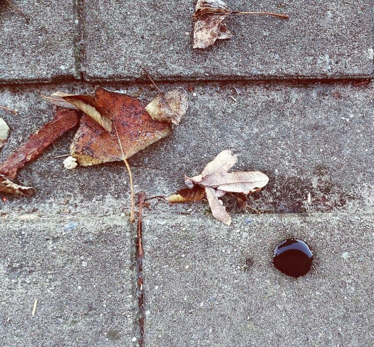 2022-12-17-Instagramdingen-Druppel-op-een-koud-trottoir