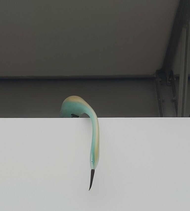 20240613-Een-vogel-van-Prouvost-De-Pont-Vs2