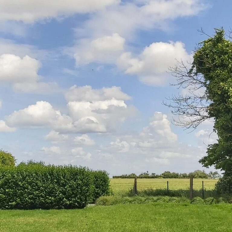 Instagramdingen-De dag van de wolkenlezer 2