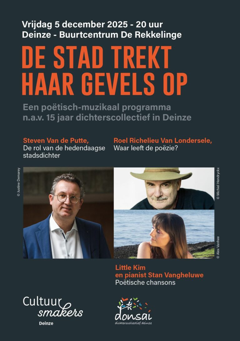 Blog- en Webwerk-Donsai-De Stad trekt haar gevels op